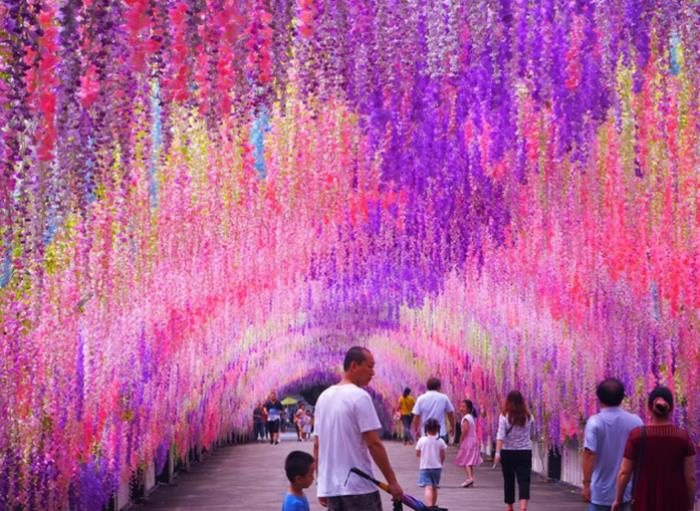 29.9玩遍水上樂園+海洋科普館+生態體育園！深圳觀瀾湖陪你度炎夏