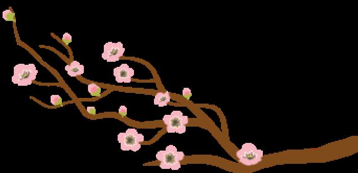 私人導(dǎo)游_張家界 私人導(dǎo)游_麗江私人導(dǎo)游