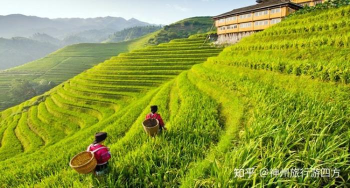 私人導游_泰國 私人導游_張家界私人導游