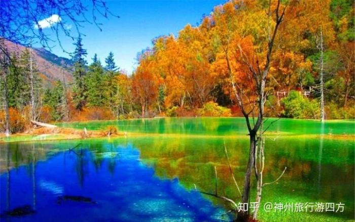 泰國 私人導(dǎo)游_私人導(dǎo)游_杭州私人美女導(dǎo)游私人當(dāng)?shù)叵驅(qū)?/></p> 

          </div>
          
          <div   id="trvpz7z"   class="col-md-12 col-xs-12 ">
				<div   id="trvpz7z"   class="th_page th_page_color th_top">  </div>
    		</div>
          <div   id="trvpz7z"   class="umCopyright">
            <p>版權(quán)聲明：本文為 “169陪玩網(wǎng)” 原創(chuàng)文章，轉(zhuǎn)載請附上原文出處鏈接及本聲明；</p>
            <p>本文鏈接：<a href="http://www.kefa3r.cn/chuxingzhishi/8378.html" target="_blank" style="color:#999">http://www.kefa3r.cn/chuxingzhishi/8378.html</a></p>
          </div>
          <div   id="trvpz7z"   class="detail-arr">
            <div   id="trvpz7z"   class="detail-arr-left">上一篇：<a href=