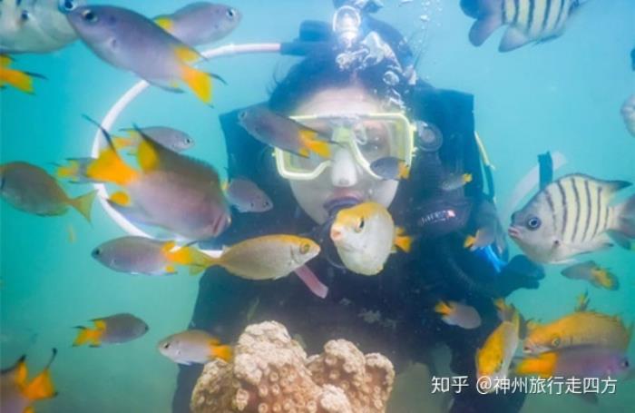 香港私人女導游_私人導游_泰國旅游私人導游