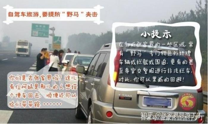 結(jié)伴游_長(zhǎng)沙伴游_伴游交友