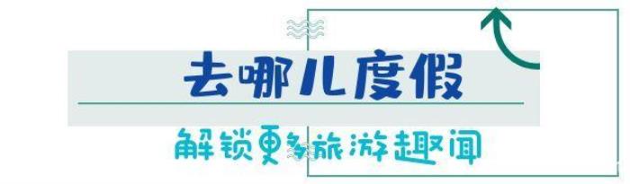 
日本女導(dǎo)游請私人導(dǎo)游，事后卻引起游客不滿！

