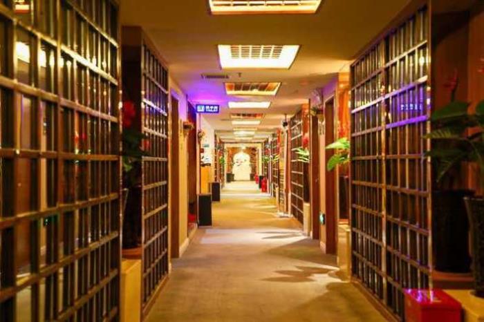 【孫婷】做商務伴游要先交錢嗎，明星商務分享模特訪夢