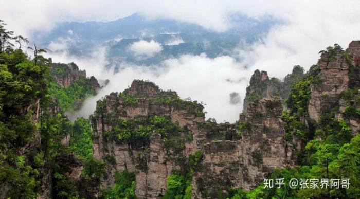 張家界旅游不請?zhí)茁返膶嵲谒饺藢?dǎo)游的費用是多少合適？