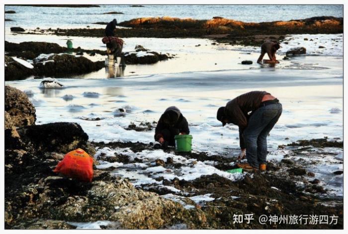 福建廈門伴游路線,廈門伴游必去景點大全,讓你的伴游輕松愉快! 福建廈門伴游路線,廈門伴游必去景點大全,讓你的伴游輕松愉快!