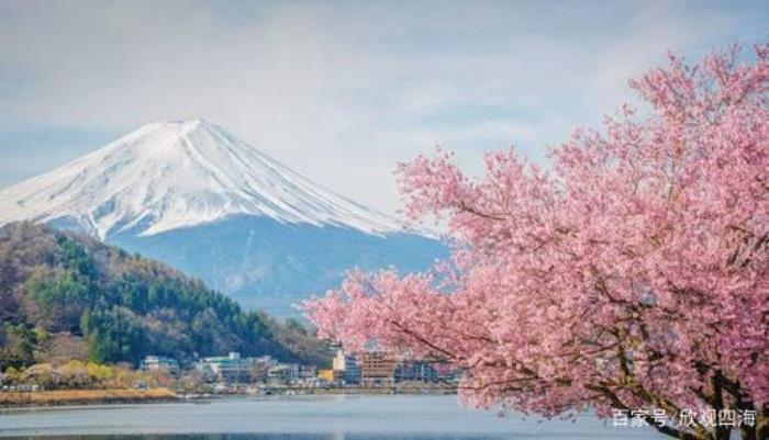  中國小伙在日本大賺特賺，感嘆日本伴游服務質量高