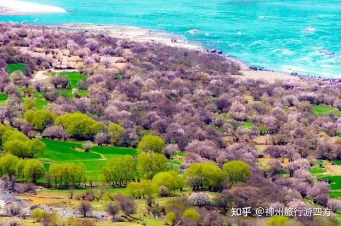 找西藏知名地接導游需注意什么西藏自由行旅游6日游 找西藏知名地接導游需注意什么西藏自由行旅游6日游