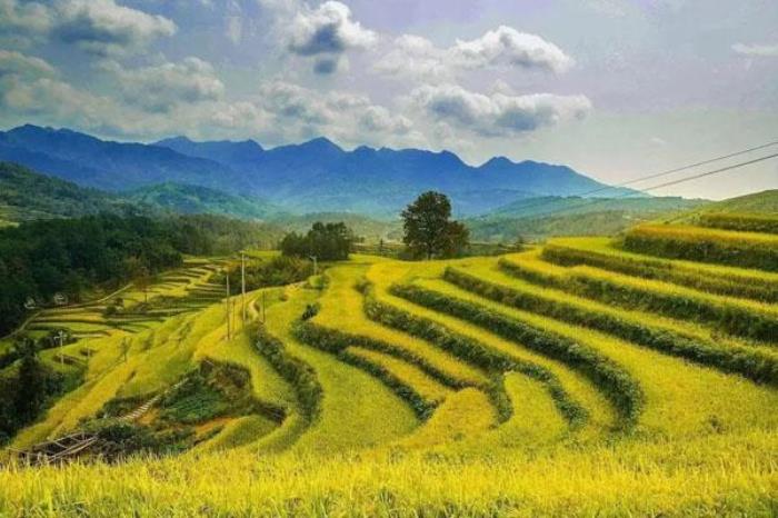 溫州澤雅風景區攻略 夏季游玩攻略