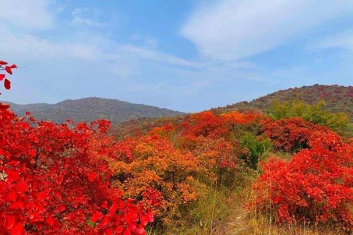 2022荊紫仙山紅葉節(jié)活動攻略(時間+門票)