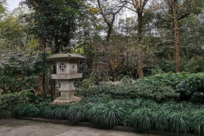 抱犢崮在哪里 在山東什么地方