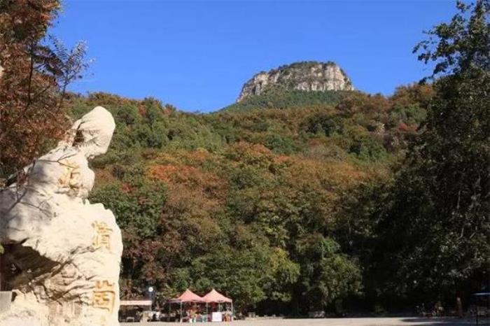 抱犢崮景區門票多少錢