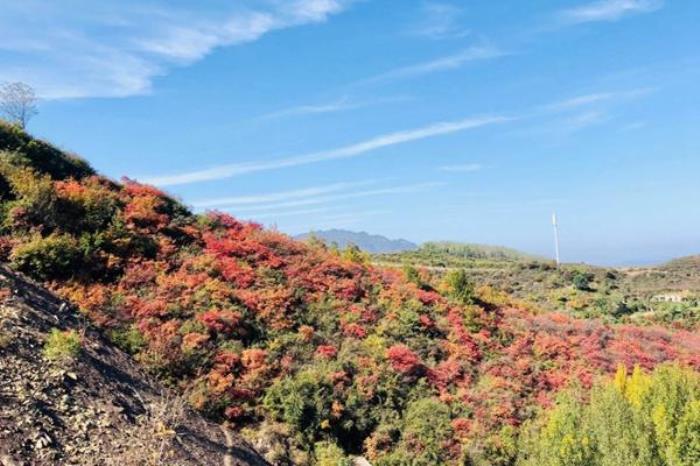 荊紫仙山紅葉什么時(shí)候最紅2023