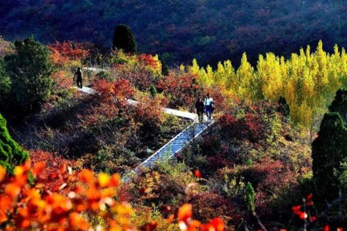 荊紫仙山紅葉什么時(shí)候最紅2023