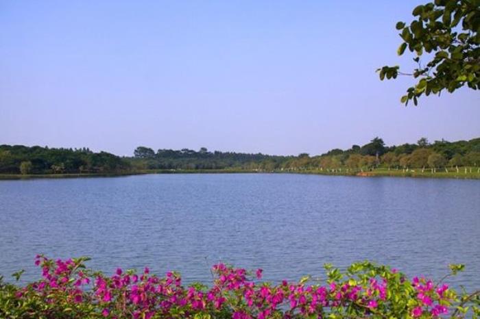 東莞賞花的最佳旅游線路推薦