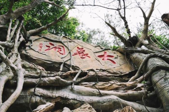 巴山大峽谷有什么好玩的 巴山大峽谷旅游攻略