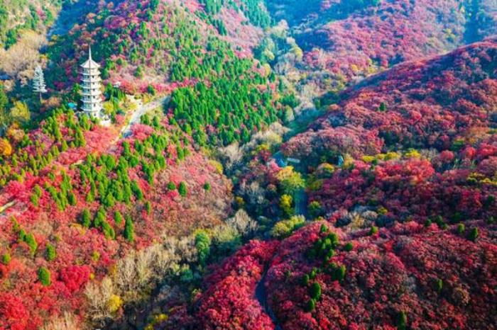 2023濟(jì)南紅葉谷最佳旅游時(shí)間