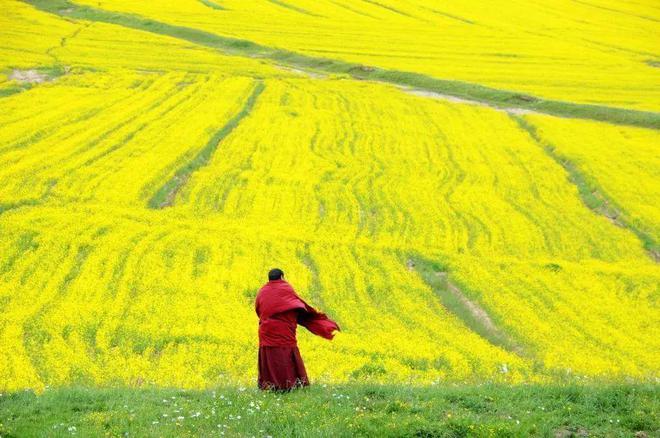 遇見(jiàn)甘南草原、黃河濕地、安多藏族風(fēng)情