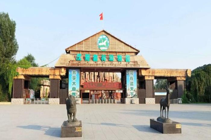 2022沈陽(yáng)森林動(dòng)物園營(yíng)業(yè)時(shí)間及門票價(jià)格