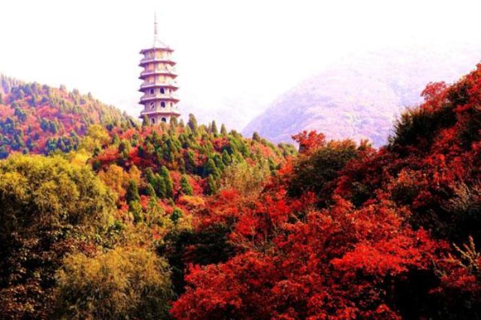2022濟(jì)南紅葉谷的紅葉最佳觀賞時(shí)間及地點(diǎn)
