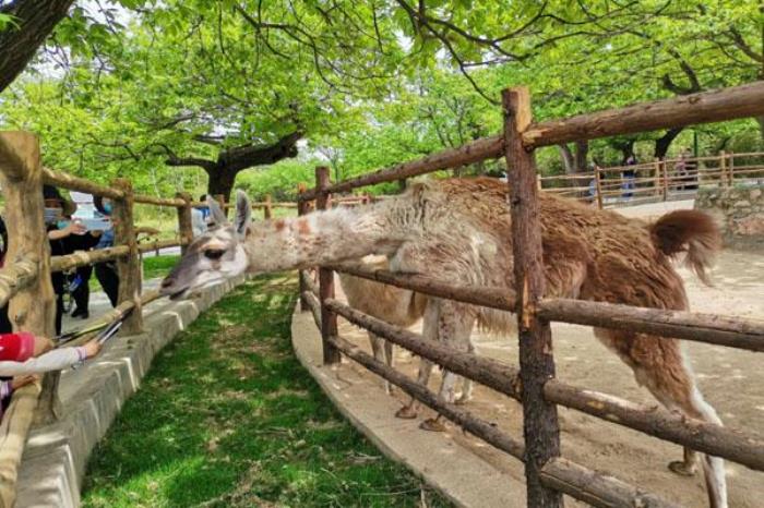 西安秦嶺野生動物園一日游攻略 附游玩路線及游覽攻略