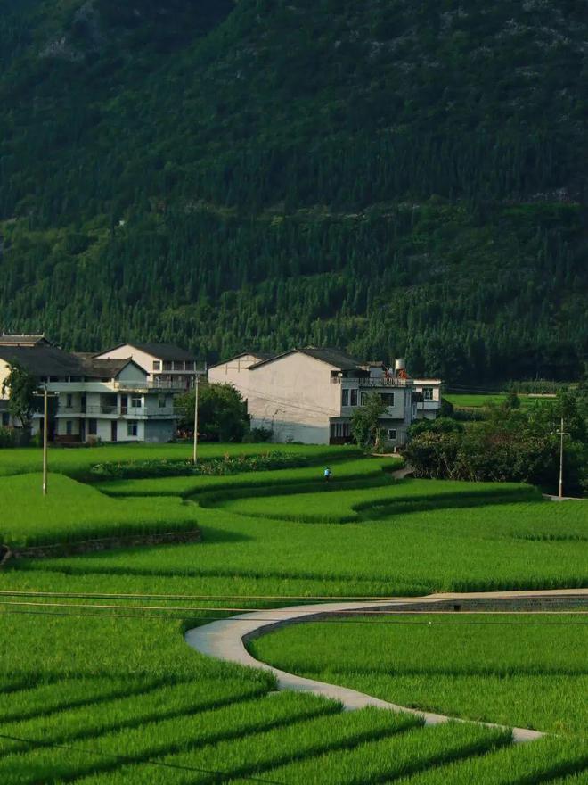 被封“中國最美”，全國唯一沒有平原的貴州省，每處山水都封神！