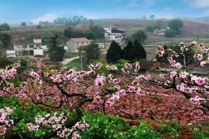 2022年成都東來桃源景區(qū)賞花地點(diǎn)及交通攻略