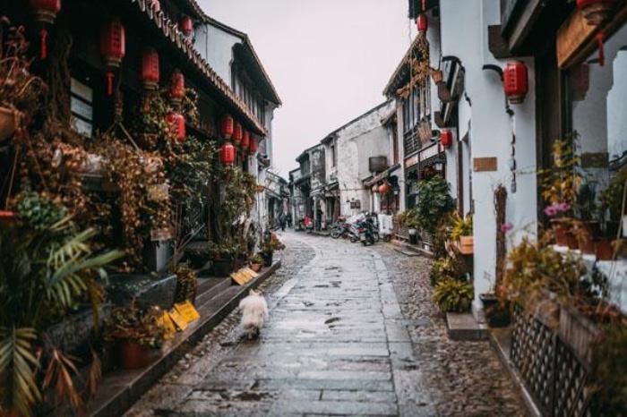 蘇州甪直古鎮旅游攻略 游玩景點推薦