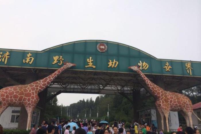 濟(jì)南跑馬嶺野生動(dòng)物園還有嗎