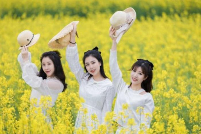 油菜花怎么拍照才好看 附詳細教程
