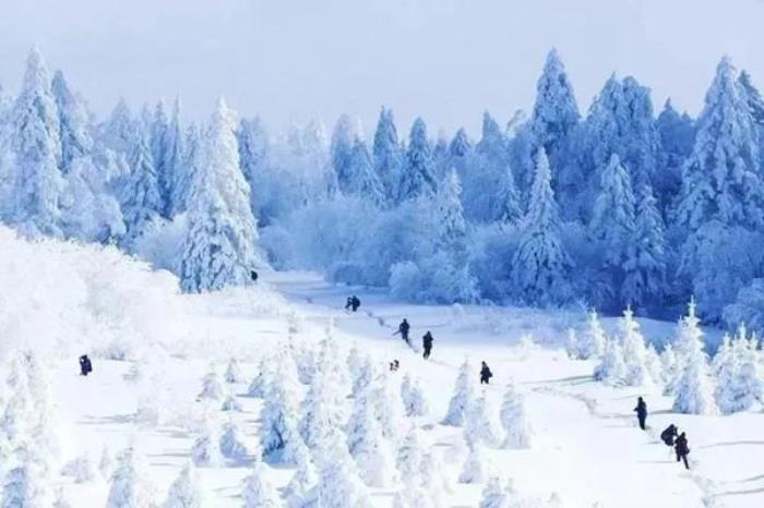 下雪的黑龍江有哪些特色玩法推薦