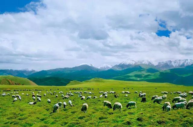 去新疆，看世界的風(fēng)景
