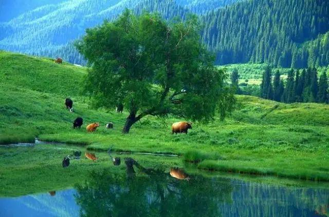 去新疆，看世界的風(fēng)景