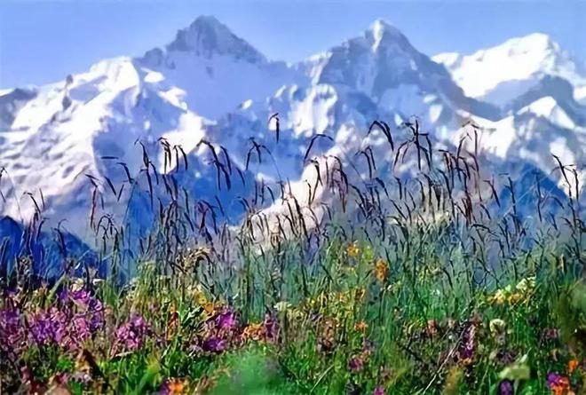 去新疆，看世界的風(fēng)景