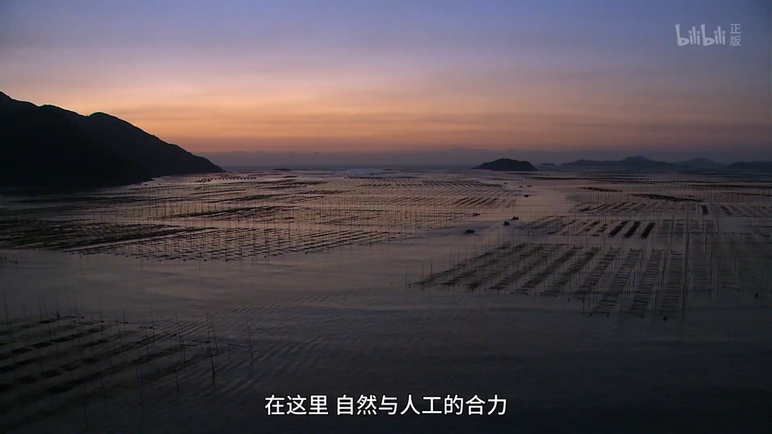 這小城靠“擺拍天堂”火出國(guó)外 我卻更愛(ài)真實(shí)的它