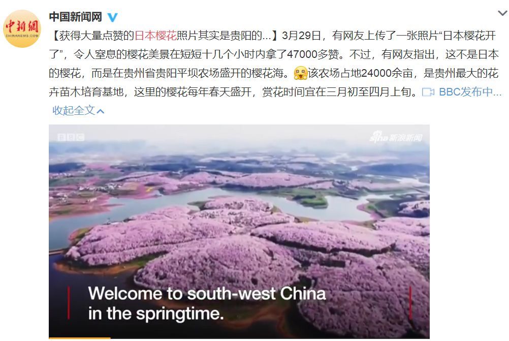 國內花海頂流，火了四年，免收門票，浪漫不會遲到！