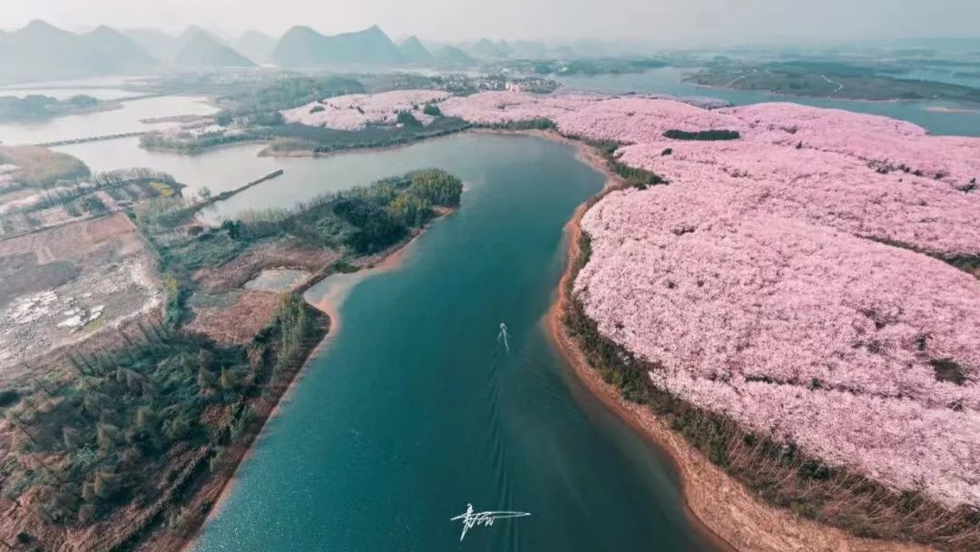 國內花海頂流，火了四年，免收門票，浪漫不會遲到！