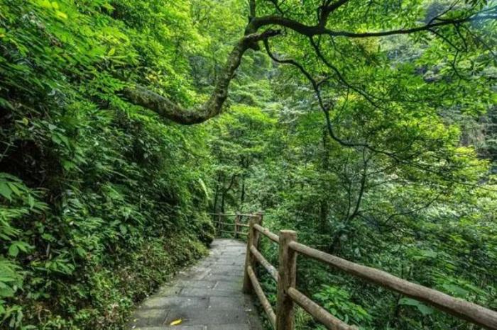 峨眉山有哪些景點 必去的幾個景點