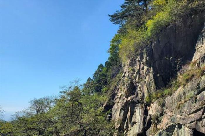 泰山在哪里?詳細地址是哪兒?