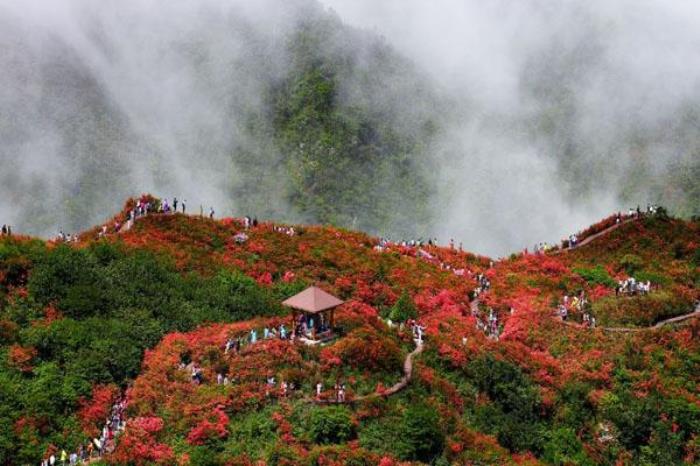 大圍山國家森林公園門票多少錢 門票優惠
