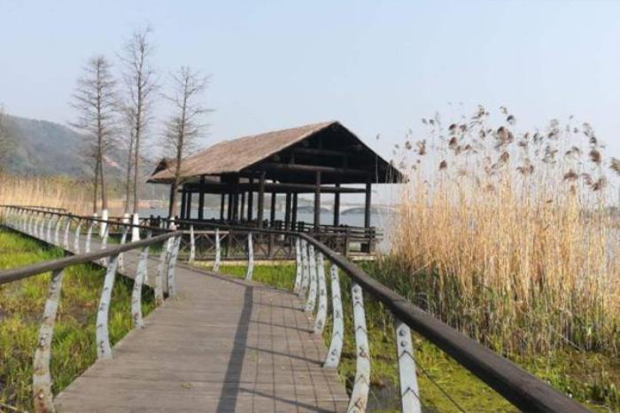 無錫長廣溪濕地公園好玩嗎