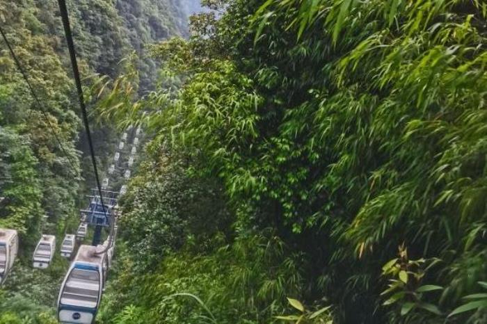 重慶黑山谷自駕游攻略