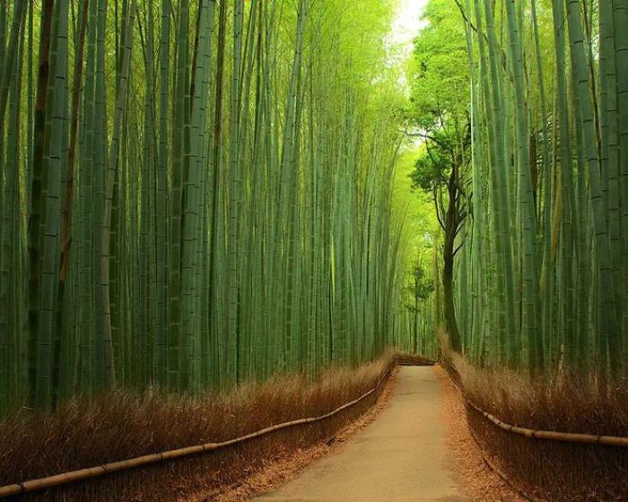 一生必去的40個(gè)世界旅行地，你去過(guò)多少個(gè)？