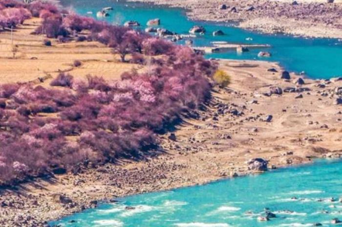 2022林芝桃花節(jié)自駕路線攻略