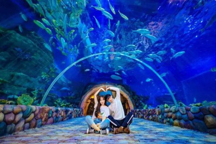 西安華夏文旅海洋公園門票多少錢 附最新優(yōu)惠政策一覽
