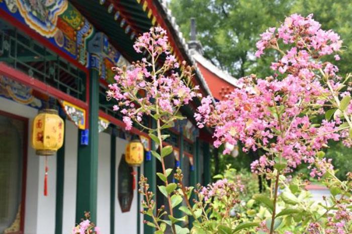 2022國(guó)家植物園游玩指南 附開放時(shí)間及門票價(jià)格