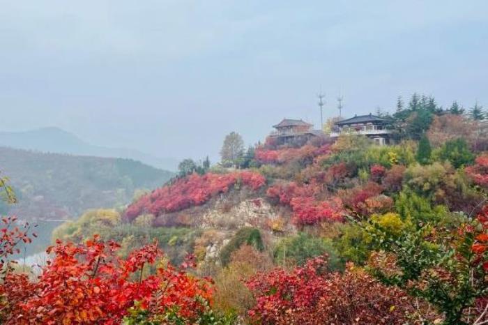 濟南紅葉谷最佳旅游時間