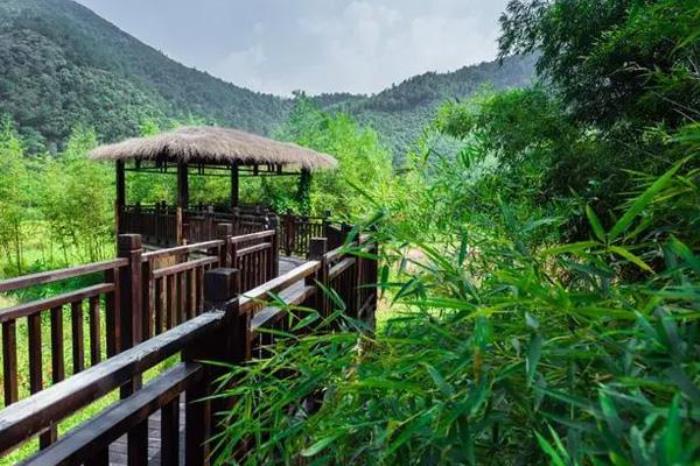 莫干山旅游景點攻略