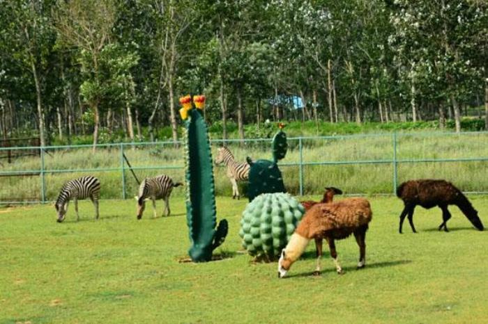 2023秦皇島野生動物園門票多少一張 附優惠政策一覽