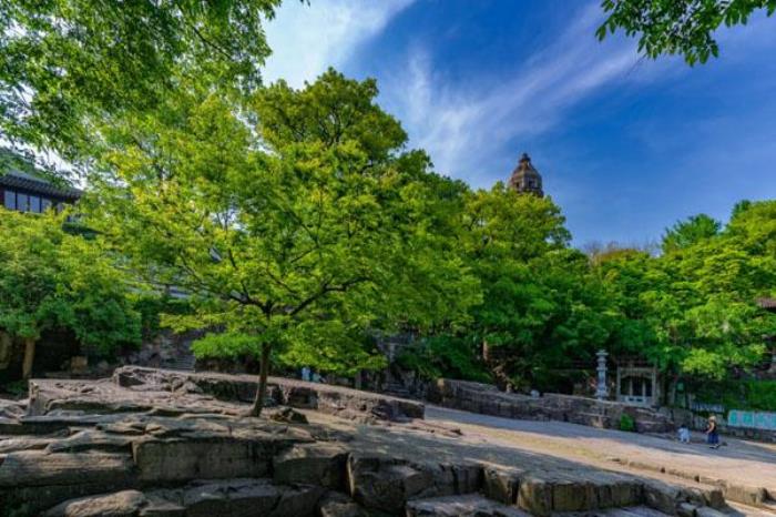 蘇州虎丘風(fēng)景區(qū)旅游攻略 附門票價格及開放時間